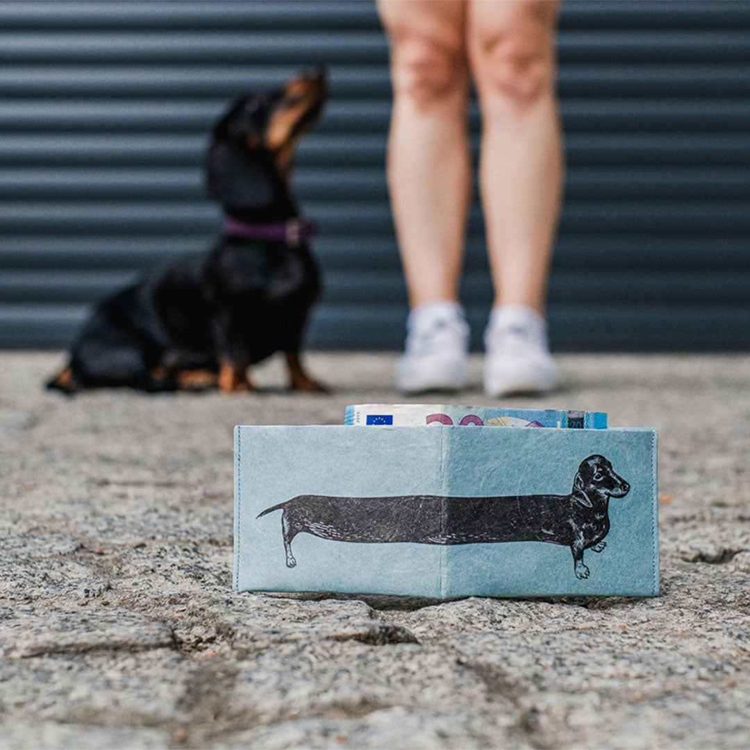 paprcuts-sausage-dog-rfid-kartenetui-rfid-geldb-rse-dackel-blau image 2